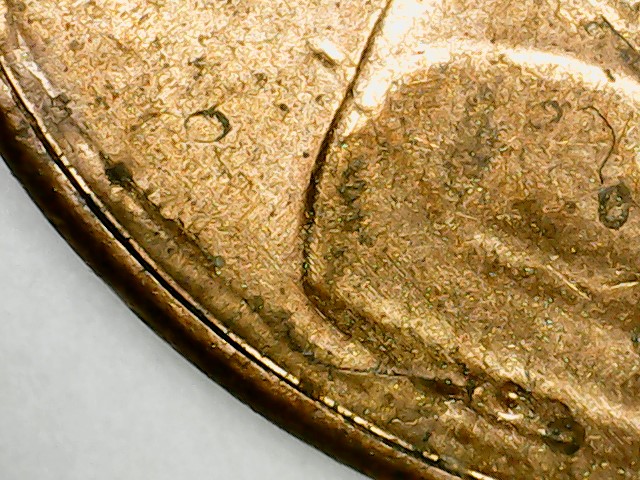 2013-Lincoln--D-Shield-Mule?