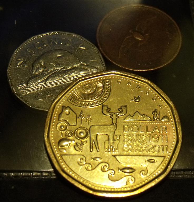 Interesting-Find-From-Circulation