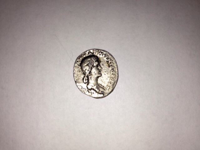 Identification-Needed---Help-Appreciated