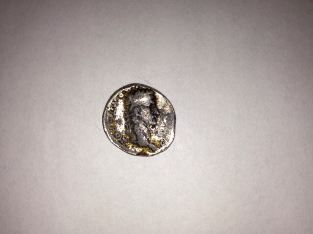 Identification-Needed---Help-Appreciated