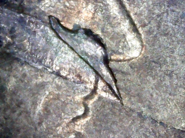 1945-S-Cent--Cud?-Die-Crack?