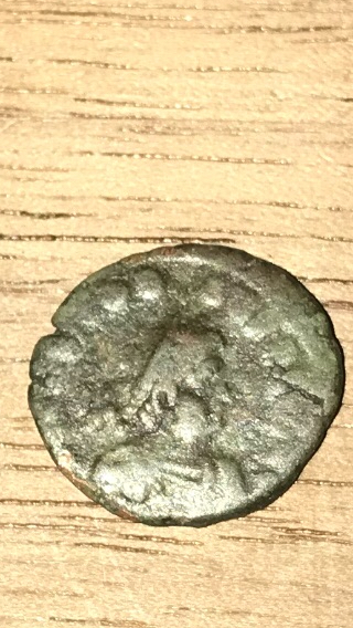 Need-Help-With-Identification