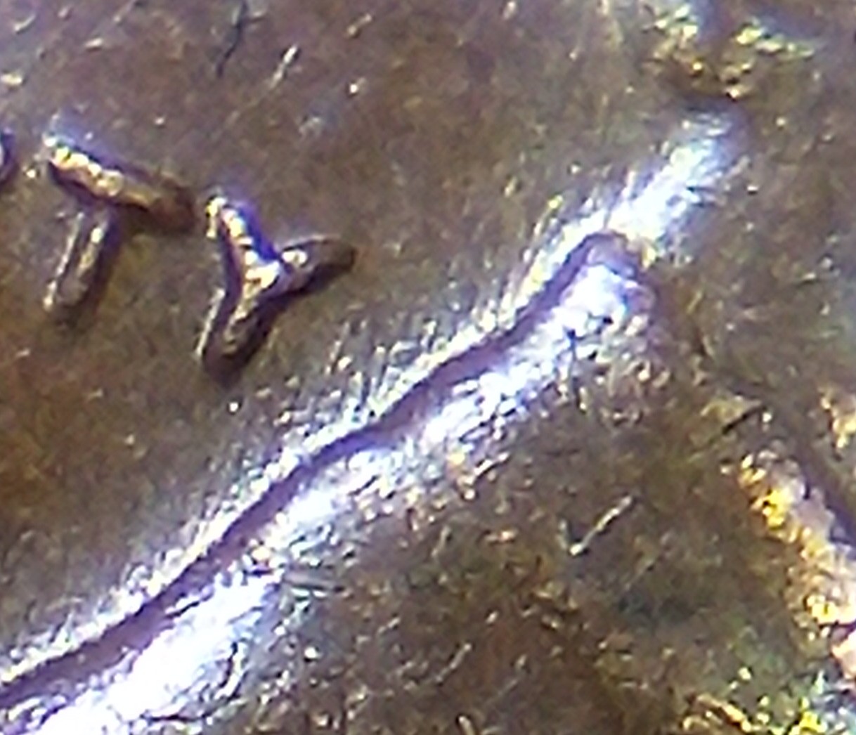 1973-D-Penny-1-DO-001?