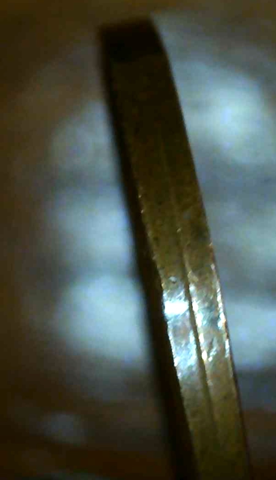 1982-Penny---Possible-Collar-Issue-?