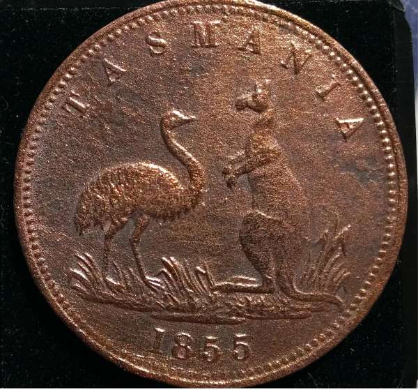 1855-And-1854-Coins.-Need-Help-Grading-And-Evaluating-Please