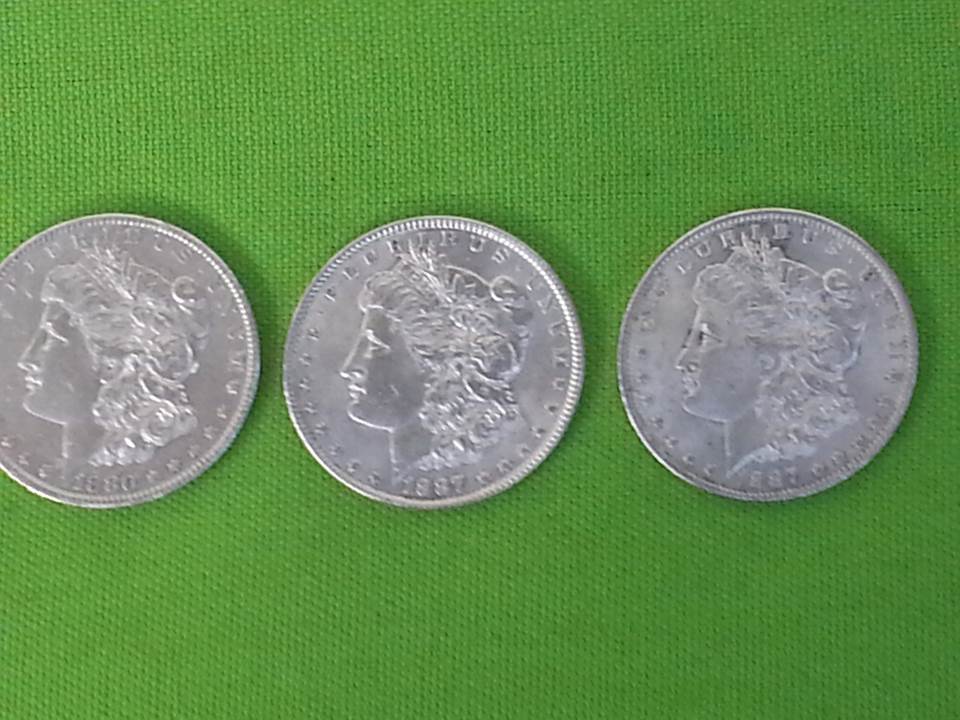 Inherited-Morgan-Silver-Dollars
