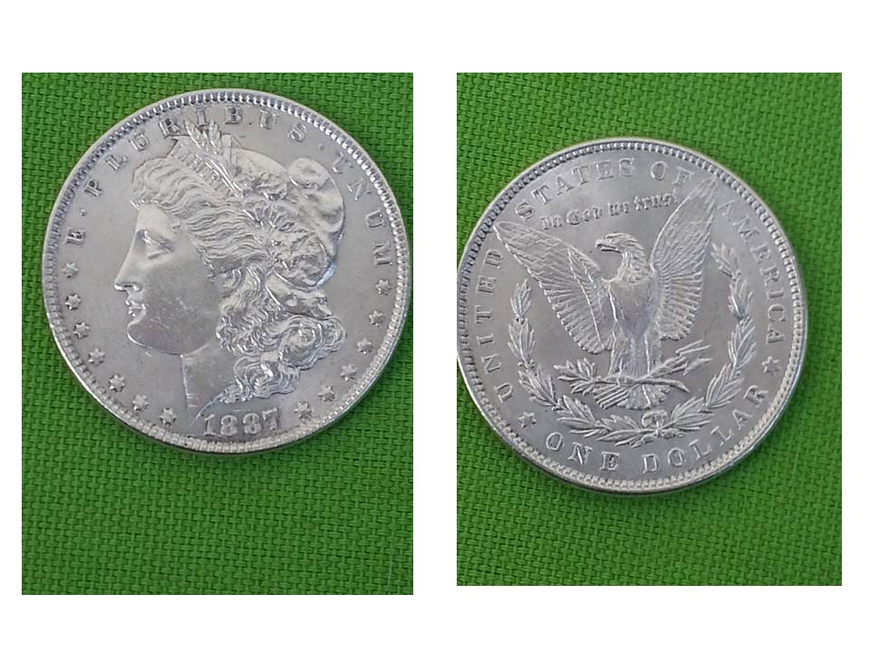 Inherited-Morgan-Silver-Dollars