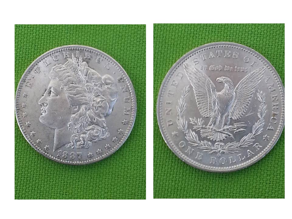Inherited-Morgan-Silver-Dollars