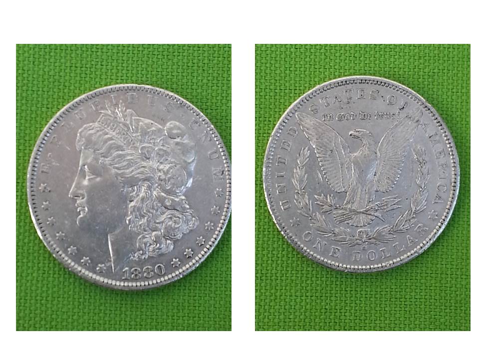 Inherited-Morgan-Silver-Dollars