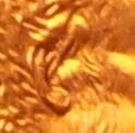 Lincoln-Error?