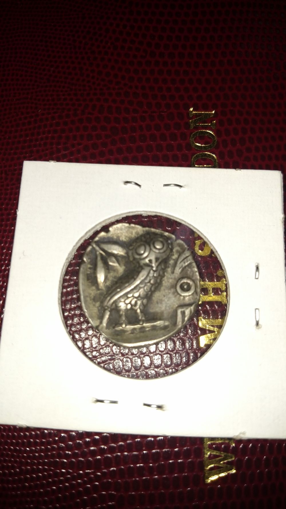 Owl
