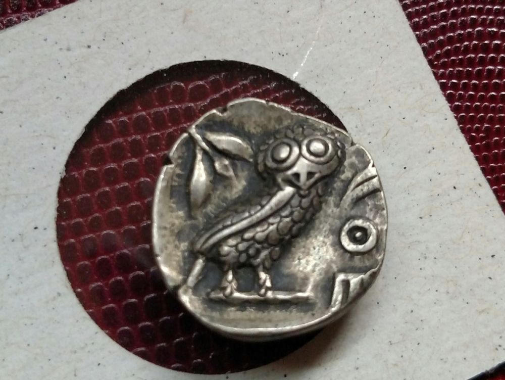 Owl