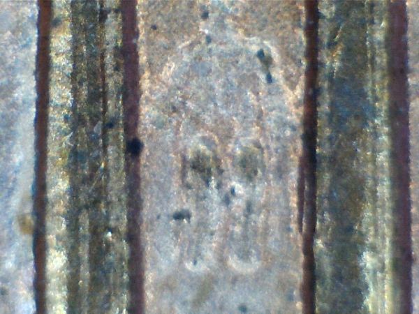 Un-Known-DDR-And-What-To-Do-?Pics-Added