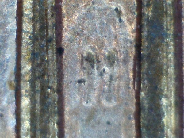 Un-Known-DDR-And-What-To-Do-?Pics-Added