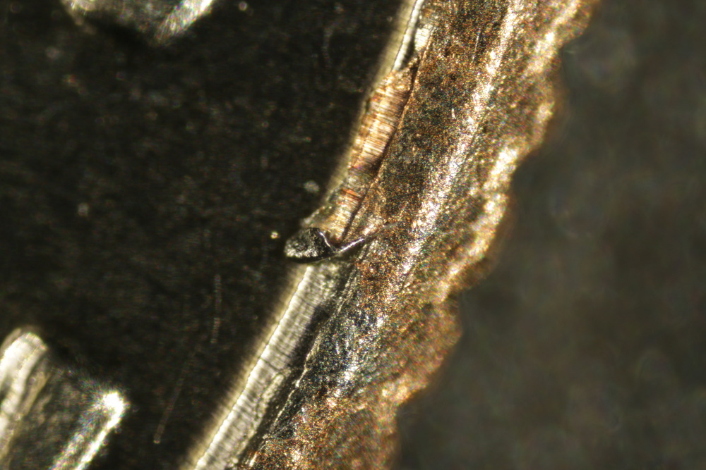 Whats-Wrong-With-This-2015-Dime?