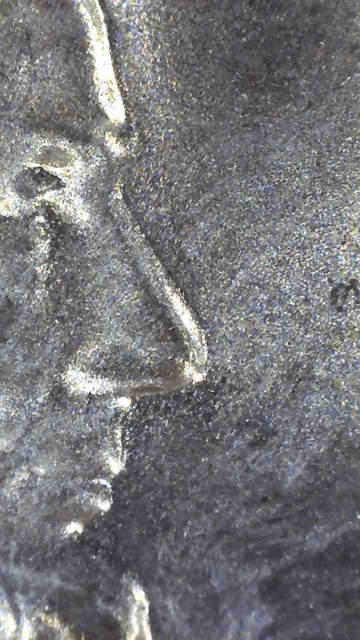 2021-D-DDO-Lincoln-Shield-Cent?