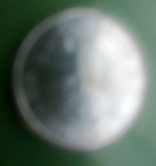 Silver-2010-$2-Coin