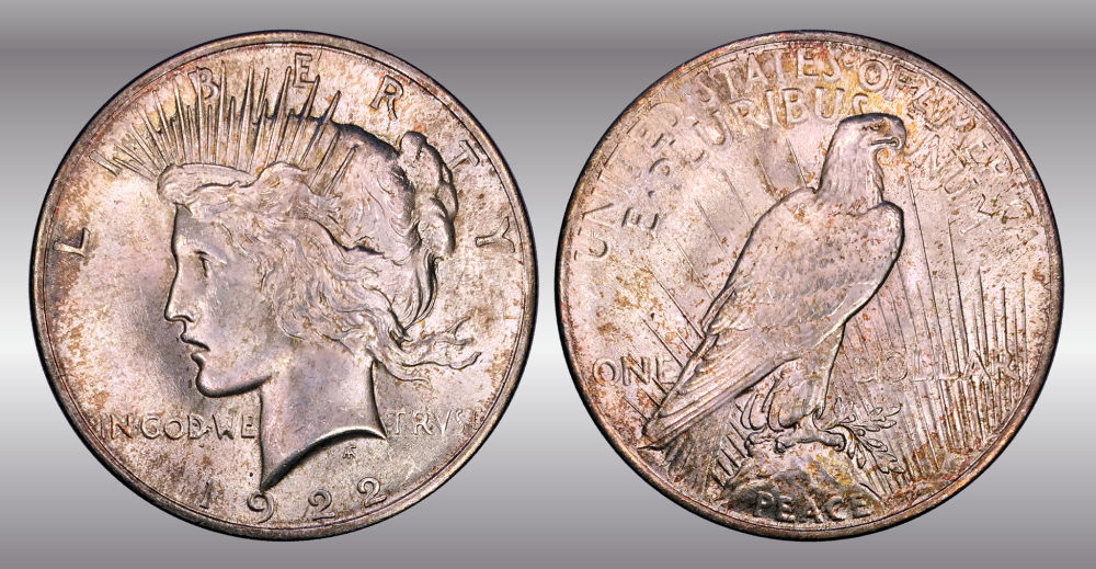 My-Raw-Peace-Dollar-Collection.-.-.-.-Warning!