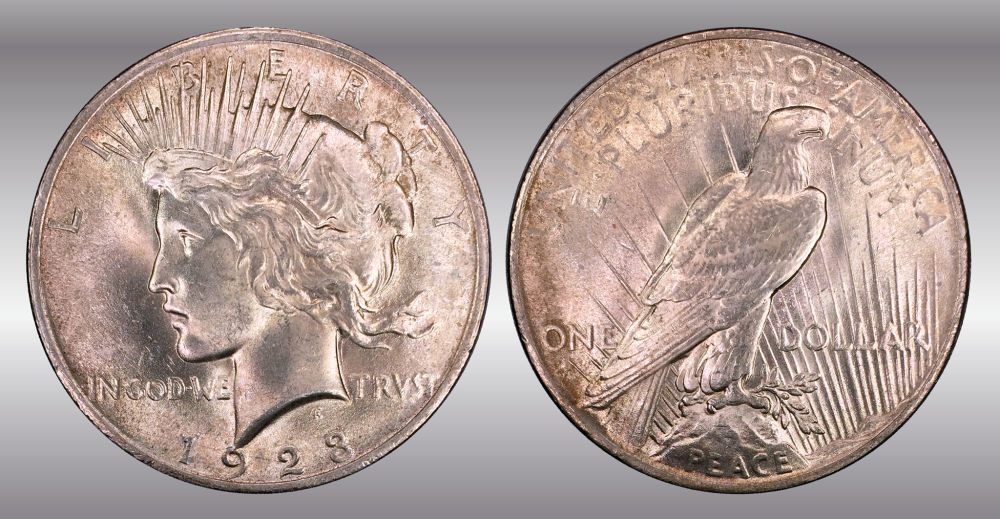 My-Raw-Peace-Dollar-Collection.-.-.-.-Warning!