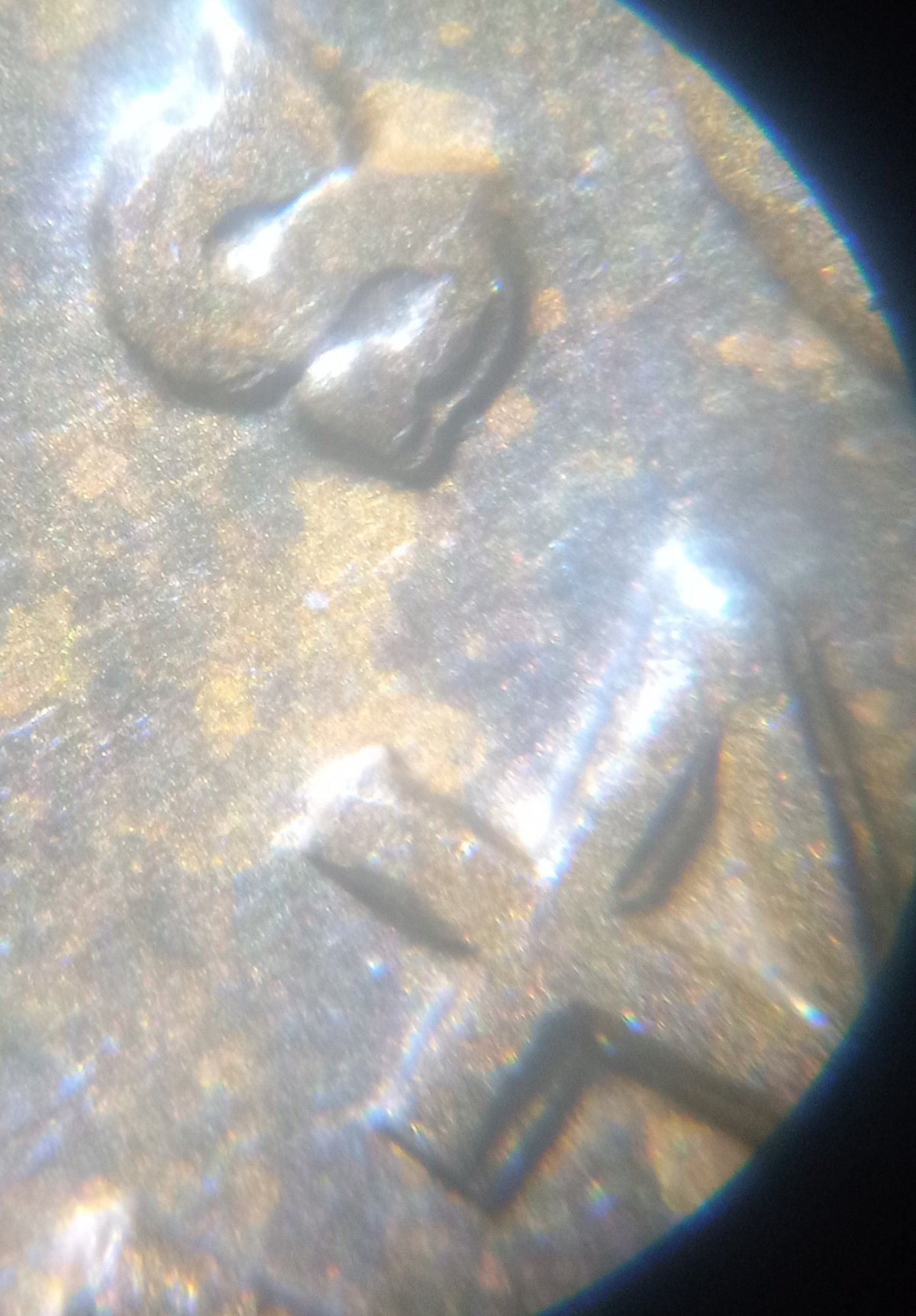 1941-LWC-DDO-Error-Maybe?