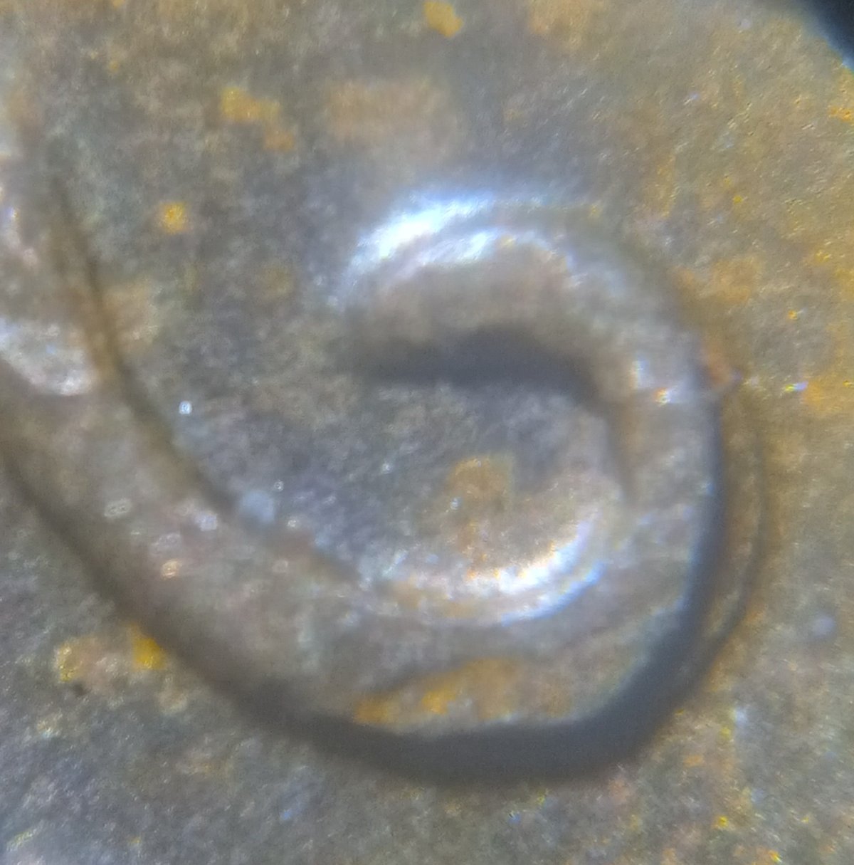 1941-LWC-DDO-Error-Maybe?