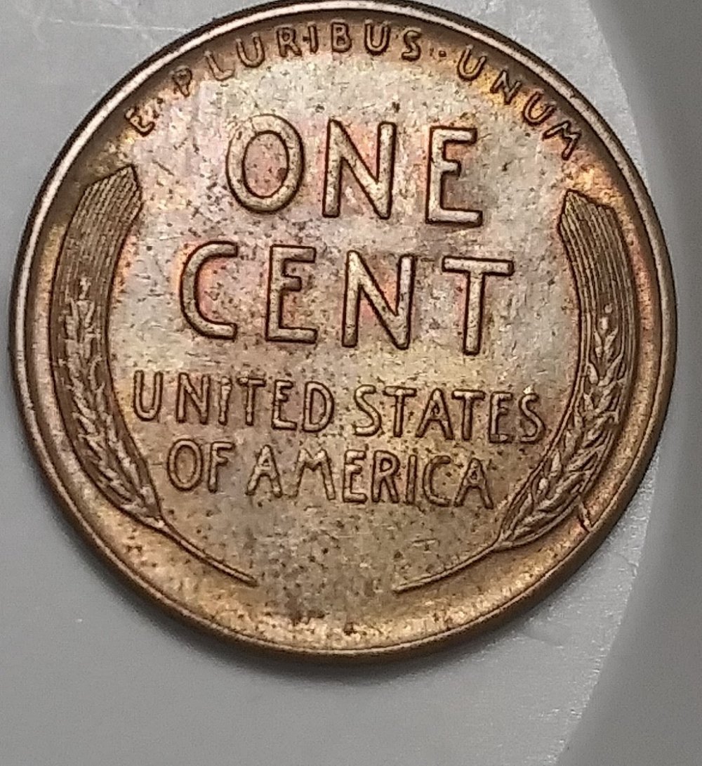 1955-S-Lincoln-Wheat-Cent-Die-Crack-On-Reverse-Next-To-Rim-Of-Coin