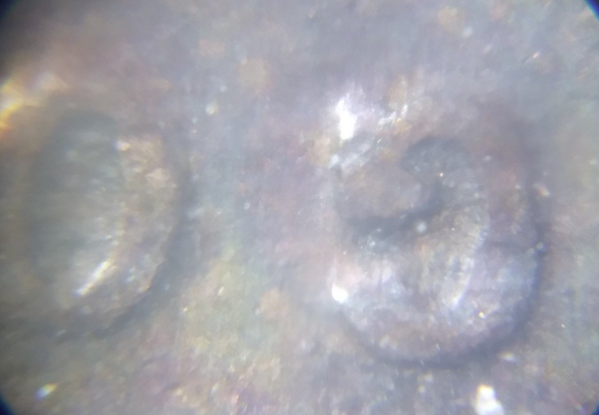 1944-P-DDO-014,--Lincoln-Wheat-Cent-With-Toning