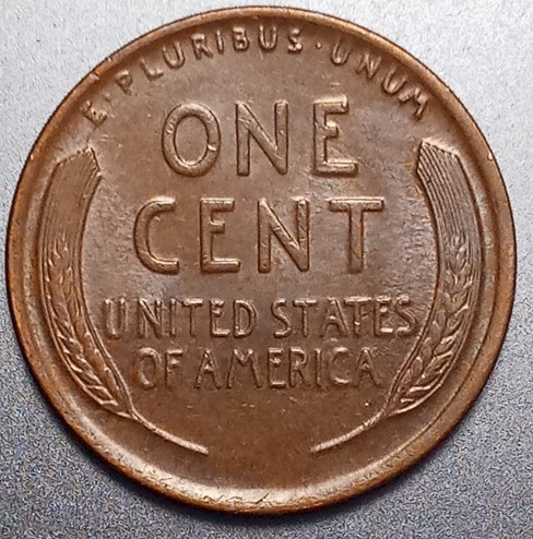 1916-P-Lincoln-Wheat-Cent-For-Grading