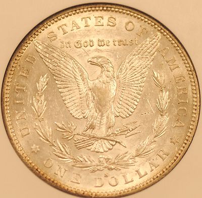 1884-S-Morgan-Dollar-Grade