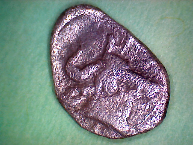 Still-No-Clue-What-This-Is