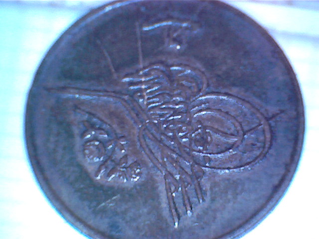 Does-Anyone-Know-What-This-Is-Please?
