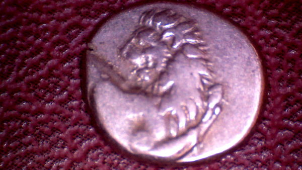 Lion-Coins