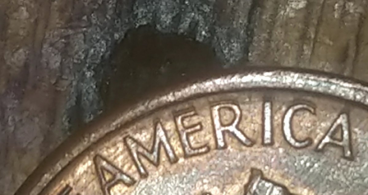 1988-D-Lincoln-DDR?--Or-Just-Machine-Doubling