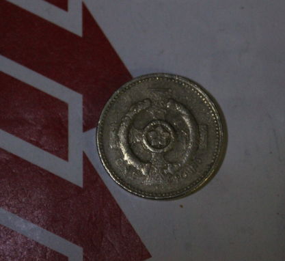 Fake-£1