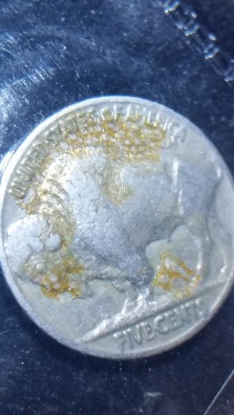 XRF-Says-Co...-Cobalt-Buffalo-Nickel?