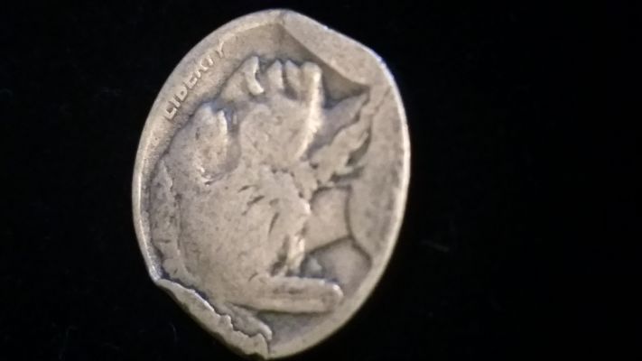 Double-Clipped-Buffalo-Nickel?-One-Side-Only-+-Other-Error?