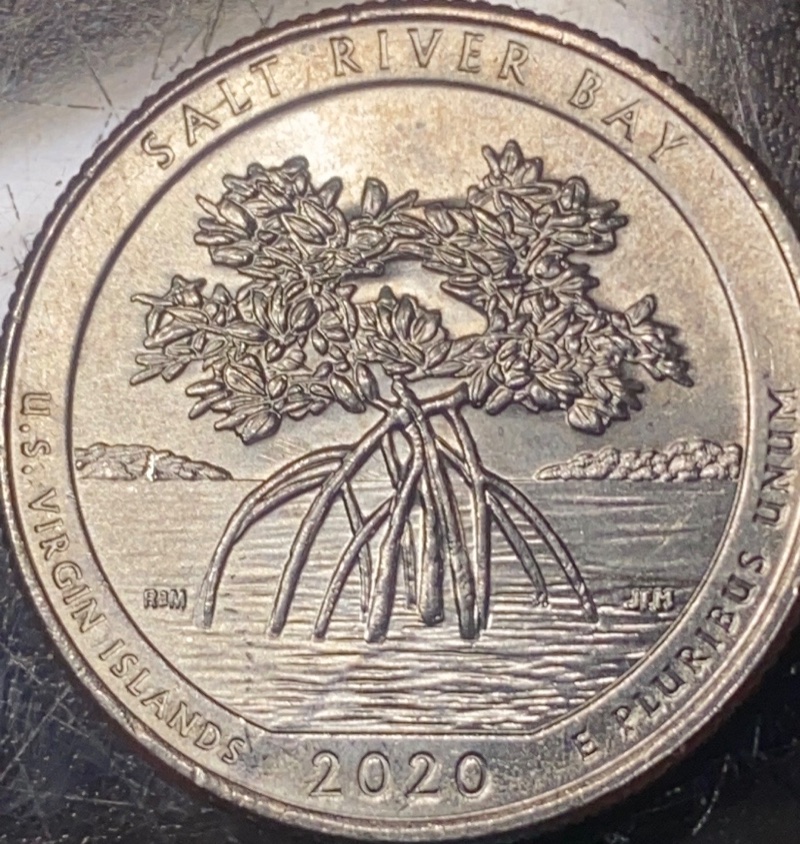 Another-2020-Salt-River-Quarter-Feeder-Lines-On-Reverse