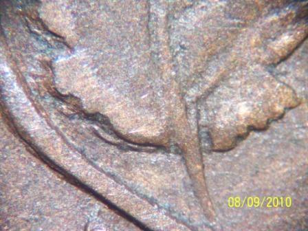 1859-Canada-Cent,-D-P,-N#9-2,-DDO-&-DDR,-W/-Die-Break