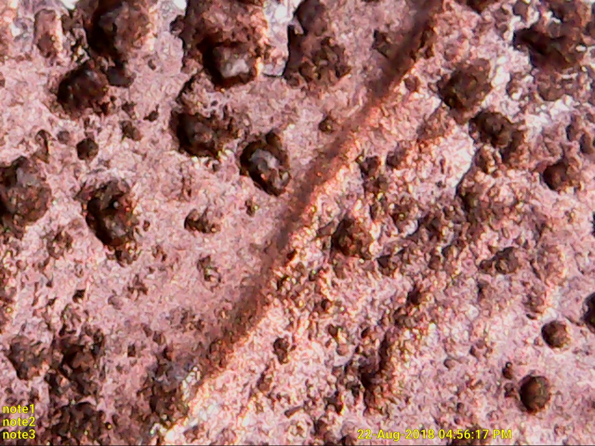 1943-Copper-Sheath-Over-Steel-Not-Plated-Lincoln-Cent