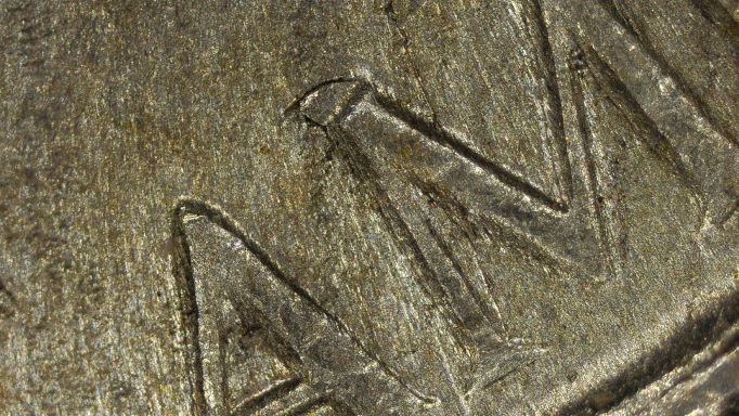 And-Now-For-Something-Completely-Different---1944-P-BU-Nickel-With-Lams?-Or-What?