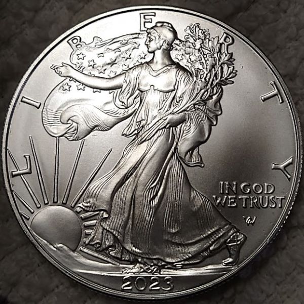 Dearborn's-American-Eagle-Coin-Collection.