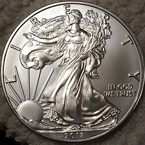 Dearborn's-American-Eagle-Coin-Collection.