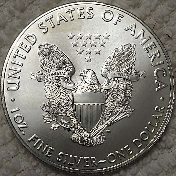 Dearborn's-American-Eagle-Coin-Collection.