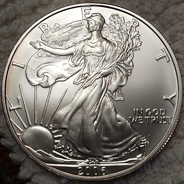 Dearborn's-American-Eagle-Coin-Collection.
