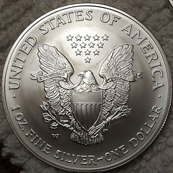 Dearborn's-American-Eagle-Coin-Collection.