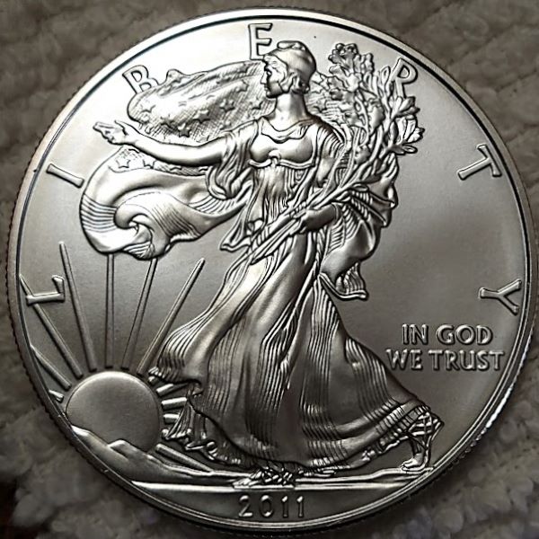 Dearborn's-American-Eagle-Coin-Collection.