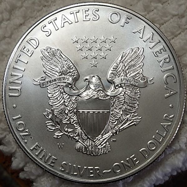Dearborn's-American-Eagle-Coin-Collection.