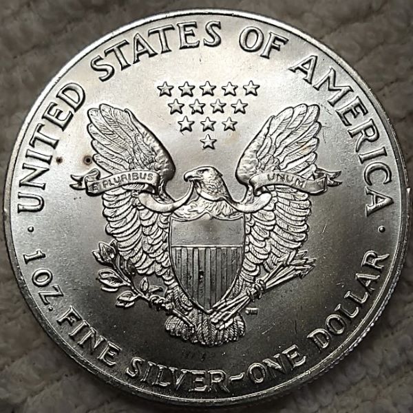 Dearborn's-American-Eagle-Coin-Collection.