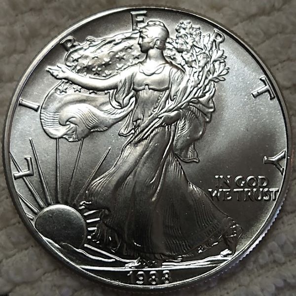 Dearborn's-American-Eagle-Coin-Collection.