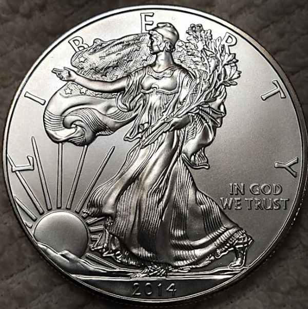 Dearborn's-American-Eagle-Coin-Collection.